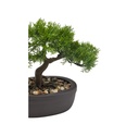 BONSAI ARTIF POT CERAMIQUE H23