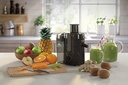 MOULINEX FRUTELIA PASTIQUE NOIR 0.95L 350W
