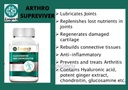 GLUCOSAMINE CHONDROINTIN