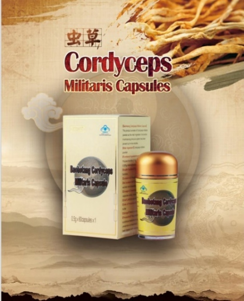 CORDICEPS MILITARIS 60 Gélules